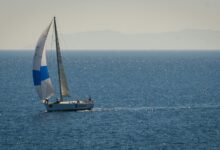 competitive landscape navigation strategies