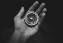 leading through organizational change