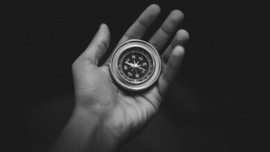 leading through organizational change