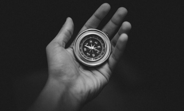 leading through organizational change
