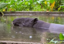 girls pic hilarious vibes