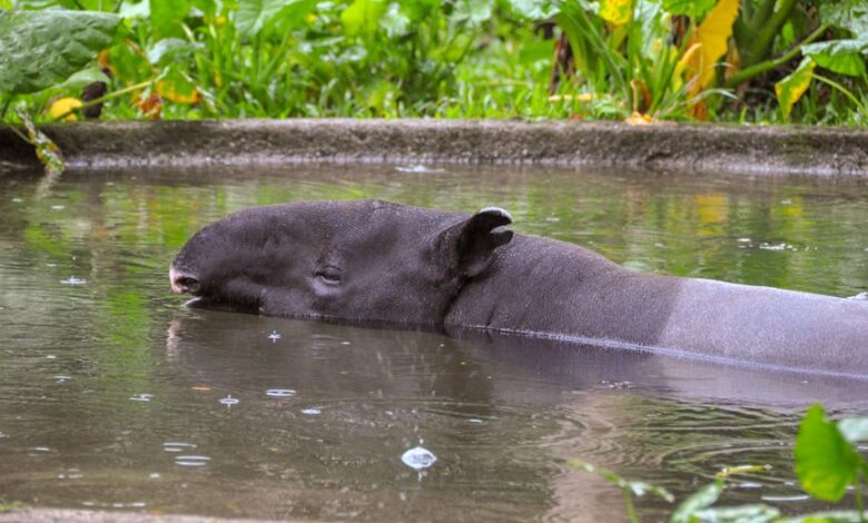 girls pic hilarious vibes