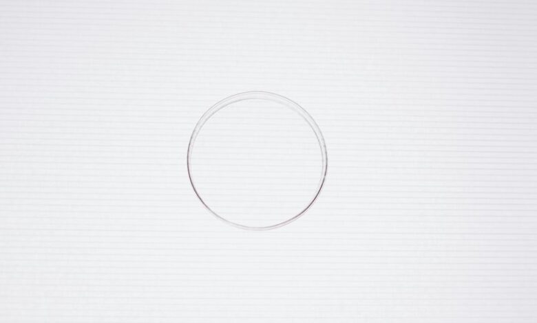 rice purity test guidelines