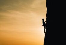 toji s height inquiry question